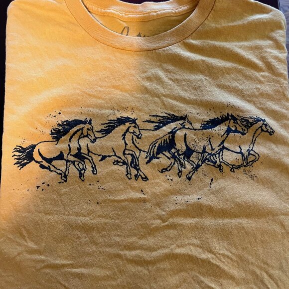Orville Peck - Stampede 2024 Tour - Concert T-Shirt - XL - Picture 7 of 7